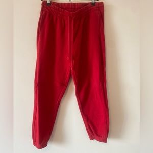 Aritzia Cozy Fleece Boyfriend Sweatpants